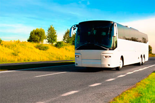 buserotico